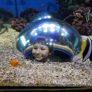 Meet your Posher, Stephenie